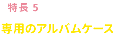 専用のアルバムケース