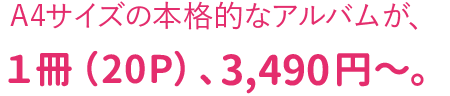 A4サイズの本格的なアルバムが1冊(20P)、3,490円〜